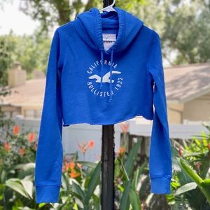 Cropped Hollister Hoodie